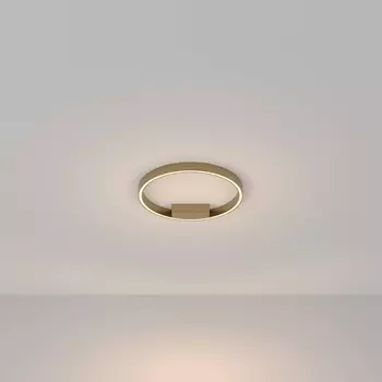 Потолочный светильник Maytoni Rim MOD058CL-L25BS3K