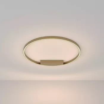 Потолочный светильник Maytoni Rim MOD058CL-L50BS3K