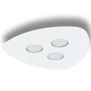 Потолочный светильник Nowodvorski Organic 8304 /8304