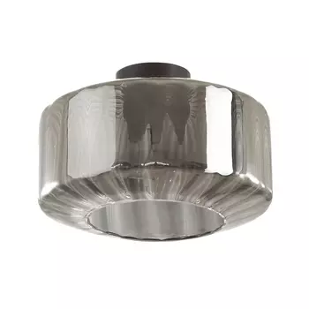 Потолочный светильник Odeon Light Binga 4746/1C