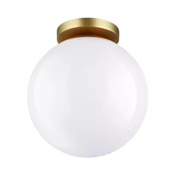 Потолочный светильник Odeon Light Bosco 4248/1C