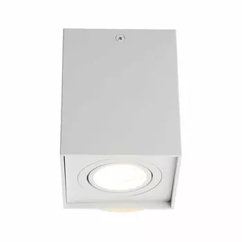 Потолочный светильник Omnilux Feletto OML-101109-01