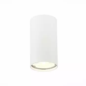 Потолочный светильник ST Luce ST110.507.01