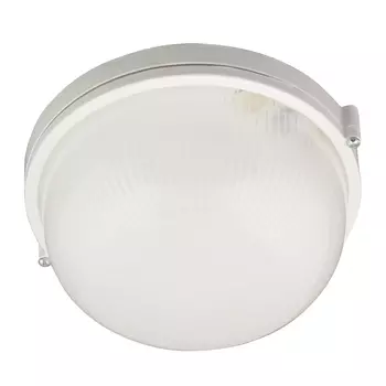 Потолочный светильник (UL-00006771) Uniel UWL-R01 100W/E27 IP54 White