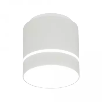 Потолочный светодиодный светильник Citilux Борн CL745020N