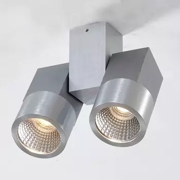 Потолочный светодиодный светильник Citilux Дубль CL556101