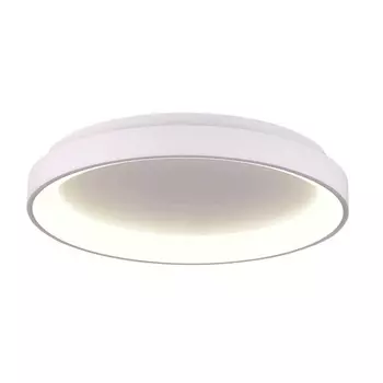 Потолочный светодиодный светильник Deko-Light Merope 348194