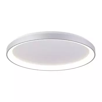 Потолочный светодиодный светильник Deko-Light Merope 348196