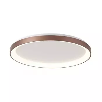 Потолочный светодиодный светильник Deko-Light Merope 348197