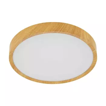 Потолочный светодиодный светильник Eglo Musurita 98602 /98602