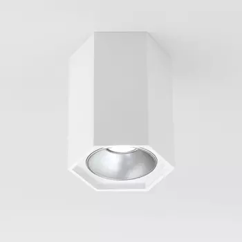 Потолочный светодиодный светильник Elektrostandard 25036/Led 4690389176487