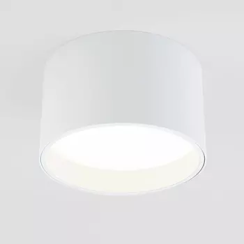 Потолочный светодиодный светильник Elektrostandard 25123/Led Banti 13Вт 4200K 4690389183980