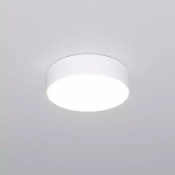 Потолочный светодиодный светильник Eurosvet Entire 90318/1 белый