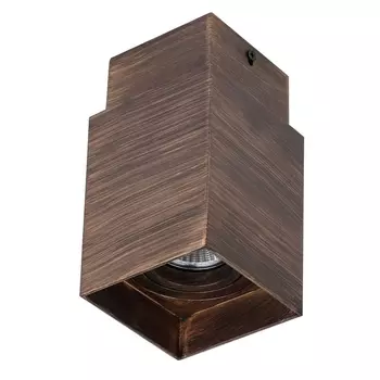 Потолочный светодиодный светильник Favourite Retro 2794-1C