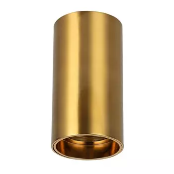 Потолочный светодиодный светильник Favourite Stirpe 2796-1U