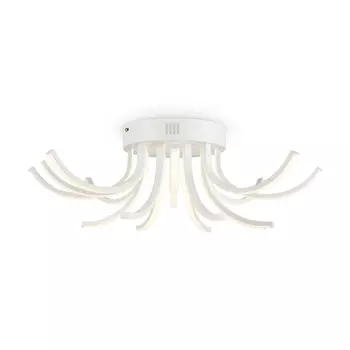 Потолочный светодиодный светильник Freya Naomi FR6046CL-L50W