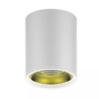 Потолочный светодиодный светильник Gauss Overhead HD010