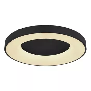 Потолочный светодиодный светильник Globo Jolli 41758-42B