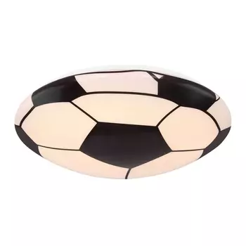 Потолочный светодиодный светильник Globo Lemmi 54009D1