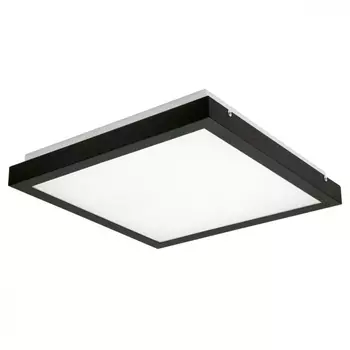 Потолочный светодиодный светильник Kanlux Tybia 24642 /24642