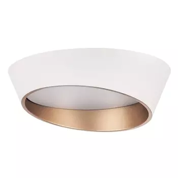 Потолочный светодиодный светильник Lightstar Celesta 809456