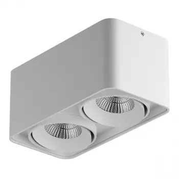 Потолочный светодиодный светильник Lightstar Monocco 052126 /052126