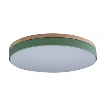 Потолочный светодиодный светильник Loft IT Axel 10001/36 green 10001/36 Green