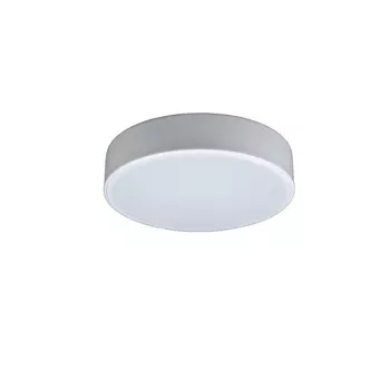 Потолочный светодиодный светильник Loft IT Axel 10002/12 white 10002/12 White