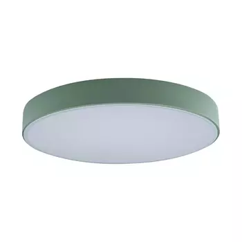 Потолочный светодиодный светильник Loft IT Axel 10002/24 green 10002/24 Green