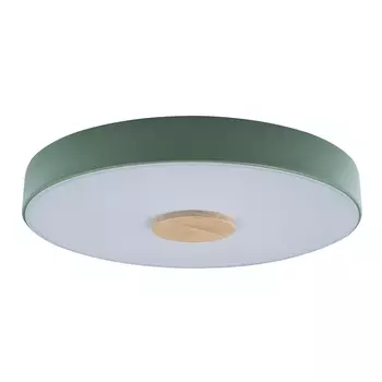Потолочный светодиодный светильник Loft IT Axel 10003/24 green 10003/24 Green