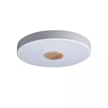 Потолочный светодиодный светильник Loft IT Axel 10003/24 white 10003/24 White