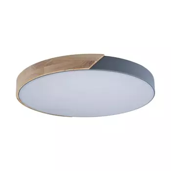 Потолочный светодиодный светильник Loft IT Axel 10004/36 grey 10004/36 Grey