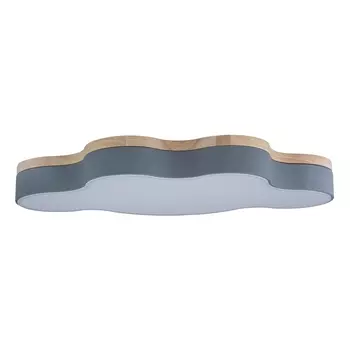 Потолочный светодиодный светильник Loft IT Axel 10005/36 grey 10005/36 Grey