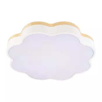 Потолочный светодиодный светильник Loft IT Axel 10225/36 White