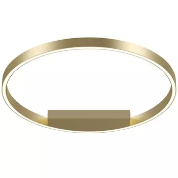 Потолочный светодиодный светильник Maytoni Rim MOD058CL-L35BSK