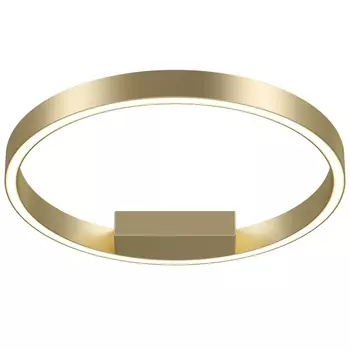 Потолочный светодиодный светильник Maytoni Rim MOD058CL-L25BS4K