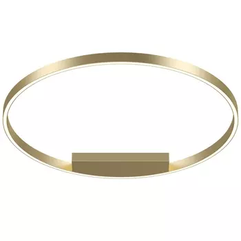 Потолочный светодиодный светильник Maytoni Rim MOD058CL-L50BS4K