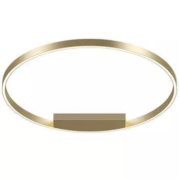 Потолочный светодиодный светильник Maytoni Rim MOD058CL-L50BSK