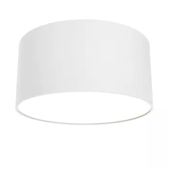 Потолочный светодиодный светильник Maytoni Technical Zon C032CL-L12W3K