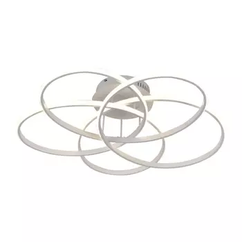 Потолочный светодиодный светильник Moderli Adam V2750-CL