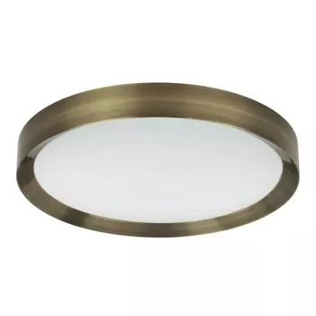 Потолочный светодиодный светильник Odeon Light Lunor 4948/60CL