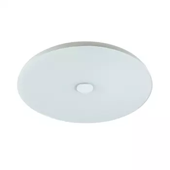 Потолочный светодиодный светильник Sonex Roki Muzcolor 4629/EL