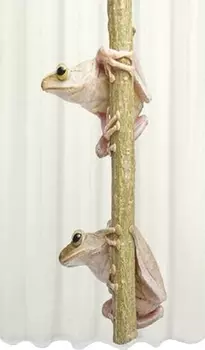 Штора для ванной Bath Plus Студия Рrint DSP3017