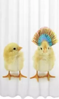 Штора для ванной Bath Plus Студия Рrint DSP3020