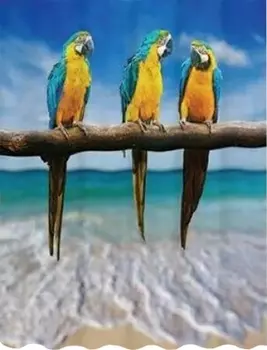 Штора для ванной Bath Plus Студия Рrint DSP3028