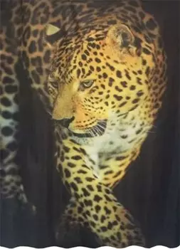 Штора для ванной Bath Plus Студия Рrint DSP3031