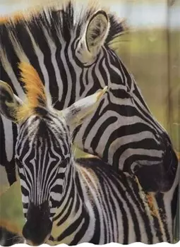 Штора для ванной Bath Plus Студия Рrint DSP3032