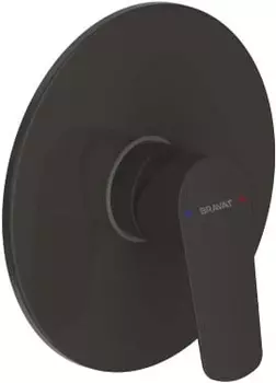 Смеситель Bravat Rhein PB8429564BW-ENG для душа