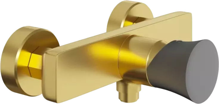 Смеситель для душа Paini Domus 18PJ511PZ матовое золото