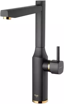 Смеситель для кухни Shouder Unique 0170517